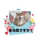 ROROMI Commitment（個別スタンプ：10）