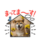 ROROMI Commitment（個別スタンプ：11）