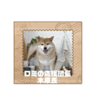 ROROMI Commitment（個別スタンプ：12）