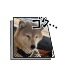 ROROMI Commitment（個別スタンプ：17）
