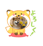 ROROMI Commitment（個別スタンプ：19）