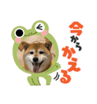 ROROMI Commitment（個別スタンプ：23）