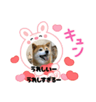 ROROMI Commitment（個別スタンプ：25）
