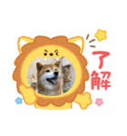 ROROMI Commitment（個別スタンプ：26）
