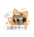 ROROMI Commitment（個別スタンプ：29）