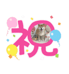 ROROMI Commitment（個別スタンプ：30）