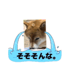 ROROMI Commitment（個別スタンプ：31）