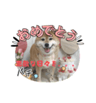 ROROMI Commitment（個別スタンプ：32）