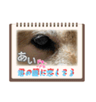 ROROMI Commitment（個別スタンプ：33）