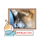ROROMI Commitment（個別スタンプ：35）