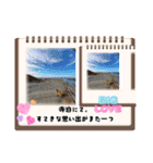 ROROMI Commitment（個別スタンプ：36）
