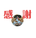帽子のにゃんこ達（個別スタンプ：1）