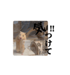 キンクマのぱんちゃん(2)（個別スタンプ：6）