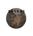 キンクマのぱんちゃん(2)（個別スタンプ：22）