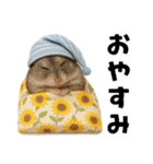 毎日かわいいハムスター（個別スタンプ：2）