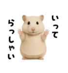 毎日かわいいハムスター（個別スタンプ：5）