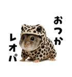 毎日かわいいハムスター（個別スタンプ：7）