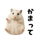毎日かわいいハムスター（個別スタンプ：13）