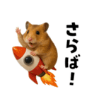 毎日かわいいハムスター（個別スタンプ：17）