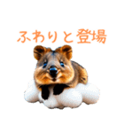 ハッピーアニマル_クオッカワラビー39夏（個別スタンプ：5）