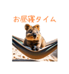 ハッピーアニマル_クオッカワラビー39夏（個別スタンプ：11）