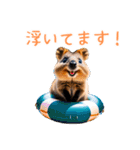 ハッピーアニマル_クオッカワラビー39夏（個別スタンプ：33）