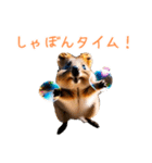 ハッピーアニマル_クオッカワラビー39夏（個別スタンプ：35）