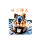 ハッピーアニマル_クオッカワラビー39夏（個別スタンプ：38）