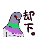 ドバトです（個別スタンプ：12）