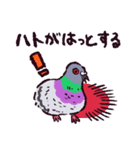 ドバトです（個別スタンプ：14）