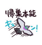 ドバトです（個別スタンプ：28）