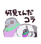 ドバトです（個別スタンプ：29）