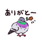 ドバトです（個別スタンプ：33）