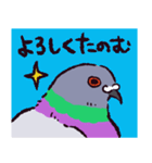 ドバトです（個別スタンプ：34）