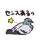 ドバトです（個別スタンプ：36）