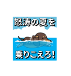 新・激しく尻尾をふるダックス 夏（個別スタンプ：1）