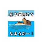 新・激しく尻尾をふるダックス 夏（個別スタンプ：2）