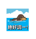 新・激しく尻尾をふるダックス 夏（個別スタンプ：3）