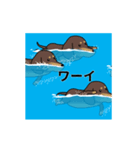 新・激しく尻尾をふるダックス 夏（個別スタンプ：5）