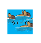 新・激しく尻尾をふるダックス 夏（個別スタンプ：6）