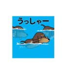 新・激しく尻尾をふるダックス 夏（個別スタンプ：7）