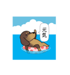 新・激しく尻尾をふるダックス 夏（個別スタンプ：10）