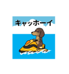 新・激しく尻尾をふるダックス 夏（個別スタンプ：11）