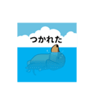新・激しく尻尾をふるダックス 夏（個別スタンプ：12）