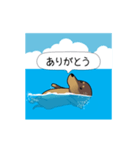 新・激しく尻尾をふるダックス 夏（個別スタンプ：15）