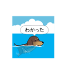 新・激しく尻尾をふるダックス 夏（個別スタンプ：16）