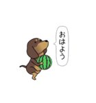 新・激しく尻尾をふるダックス 夏（個別スタンプ：17）