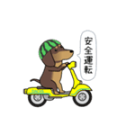 新・激しく尻尾をふるダックス 夏（個別スタンプ：22）
