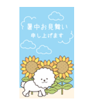 『ビションフリーゼ』夏のごあいさつ（個別スタンプ：1）