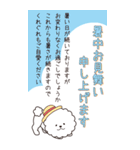 『ビションフリーゼ』夏のごあいさつ（個別スタンプ：3）